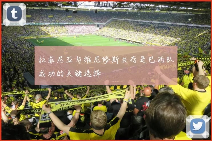 拉菲尼亚与维尼修斯共存是巴西队成功的关键选择
