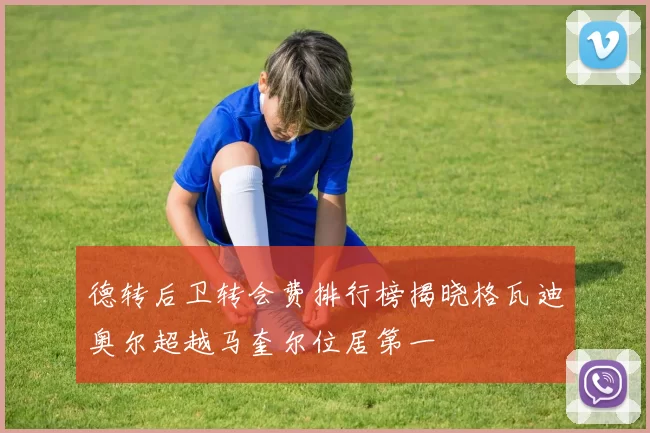 德转后卫转会费排行榜揭晓格瓦迪奥尔超越马奎尔位居第一